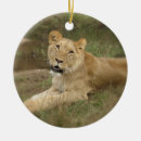 Suche nach löwin ornamente Löwe