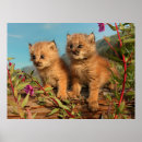 Suche nach kanadisch poster Alaska