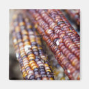 Suche nach einzelhandel magnete Usa