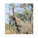 Suche nach afrikanischer elefant notizblock Rüssel