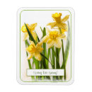 Suche nach frühling magnete Für sie