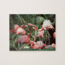 Suche nach flamingos puzzle Tropisch