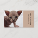Suche nach freaky Katze