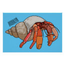 Suche nach crab poster Hermitenkrebs