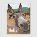 Suche nach donkey magnete Bauernhof