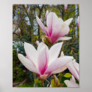 Suche nach rosa magnolie poster Für alle