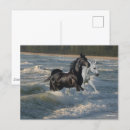 Suche nach arabisches pferd postkarten Meer