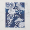 Suche nach jellyfish postkarten Watercolor