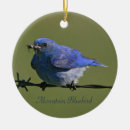 Suche nach singvögel ornamente Vogelvogel