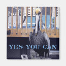 Suche nach pelikane magnete Vögel