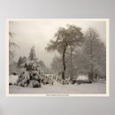 Suche nach winter forest poster Foto