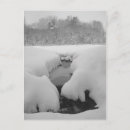 Suche nach winterbild postkarten Jede person