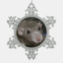 Suche nach ratte ornamente Fotografie