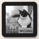 Suche nach erholung untersetzer Katze