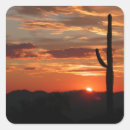 Suche nach arizona aufkleber Sonnenuntergang
