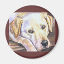 Suche nach retriever magnete Hund