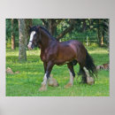 Suche nach clydesdale poster Bauernhof