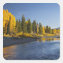 Suche nach pappel aufkleber Herbst