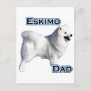 Suche nach amerikanische eskimo postkarten Hund