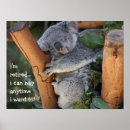 Suche nach niedlicher koala poster Für alle