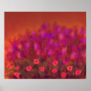 Suche nach leidenschaft poster Liebe