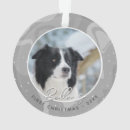 Suche nach border collie geschenke Für haustiere