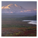 Suche nach umwelt fliesen Bunt