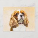 Suche nach blenheim postkarten Cavalier king charles spaniel
