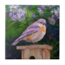 Suche nach easter fliesen Blauvogel