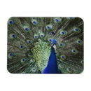 Suche nach draußen magnete Grün