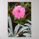 Suche nach wassertropfen poster Fotografie