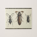 Suche nach insekten puzzle Für alle