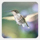 Suche nach schnabel aufkleber Vogelvogel