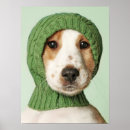 Suche nach cocker spaniel poster Welpe