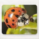 Suche nach blütenstaub mousepads Natur