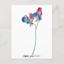 Suche nach erbsen postkarten Blume