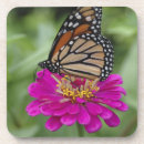 Suche nach monarchfalter untersetzer Schmetterling