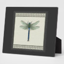 Suche nach insekten fotoplatten Käfer