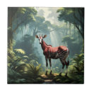 Suche nach waldgiraffe Tier
