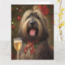 Suche nach briard karten Jede person