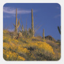 Suche nach pipe aufkleber Arizona