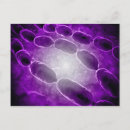 Suche nach zylinder postkarten Biologie