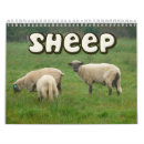 Suche nach schafe in der kalender Lamm
