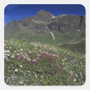 Suche nach die schweizer alpen aufkleber Berg