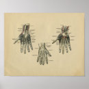 Suche nach human poster Hand
