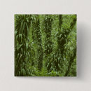 Suche nach regenwald buttons Grün