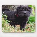 Suche nach shar pei welpe mousepads Hunde