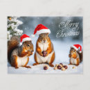 Suche nach weihnachtsjunge postkarten Jede person