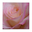 Suche nach rose pink fliesen Blumenreich