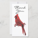 Suche nach sider karten Foto